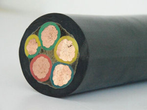 0.6/1kv round 2pnct-r cable supplier