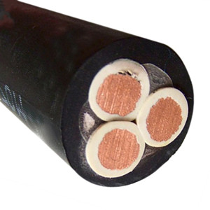 get 3PNCT-H 3 core 22mm 38mm 60mm cable price from supplier