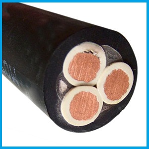 get 3PNCT-H 3 core 22mm 38mm 60mm cable price from supplier