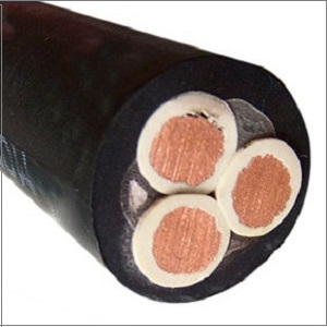 get 2PNCT-H 3 core 22mm 38mm 60mm cable price from supplier